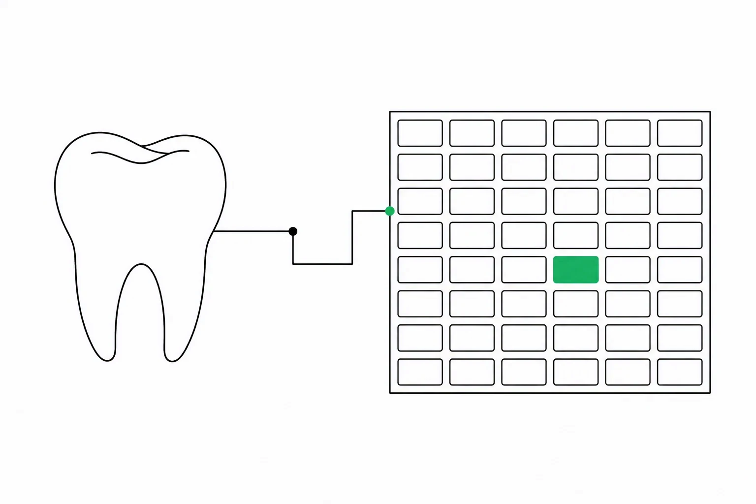 A line-drawn molar linked across to an appointment grid where a single time slot is filled solid green.